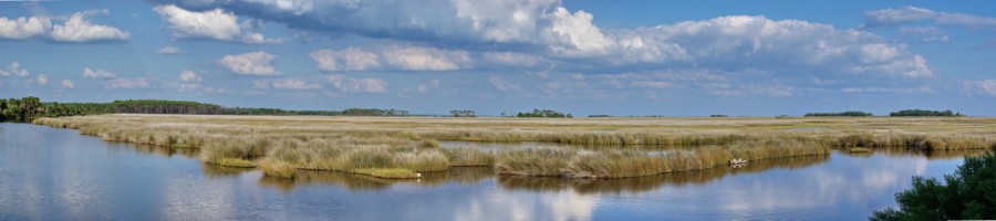 Tidal marsh viewed from the St. Marks Lighthouse area; photo by Mike Carlton
